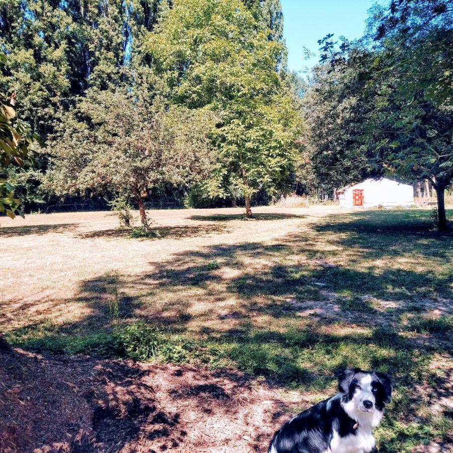 Domaine De La Clef Des Champs Panzió Limeray Kültér fotó