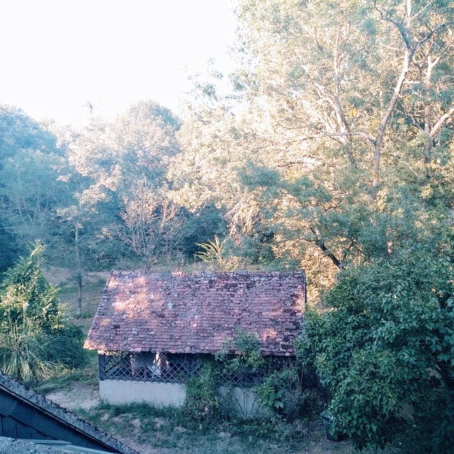 Domaine De La Clef Des Champs Panzió Limeray Kültér fotó