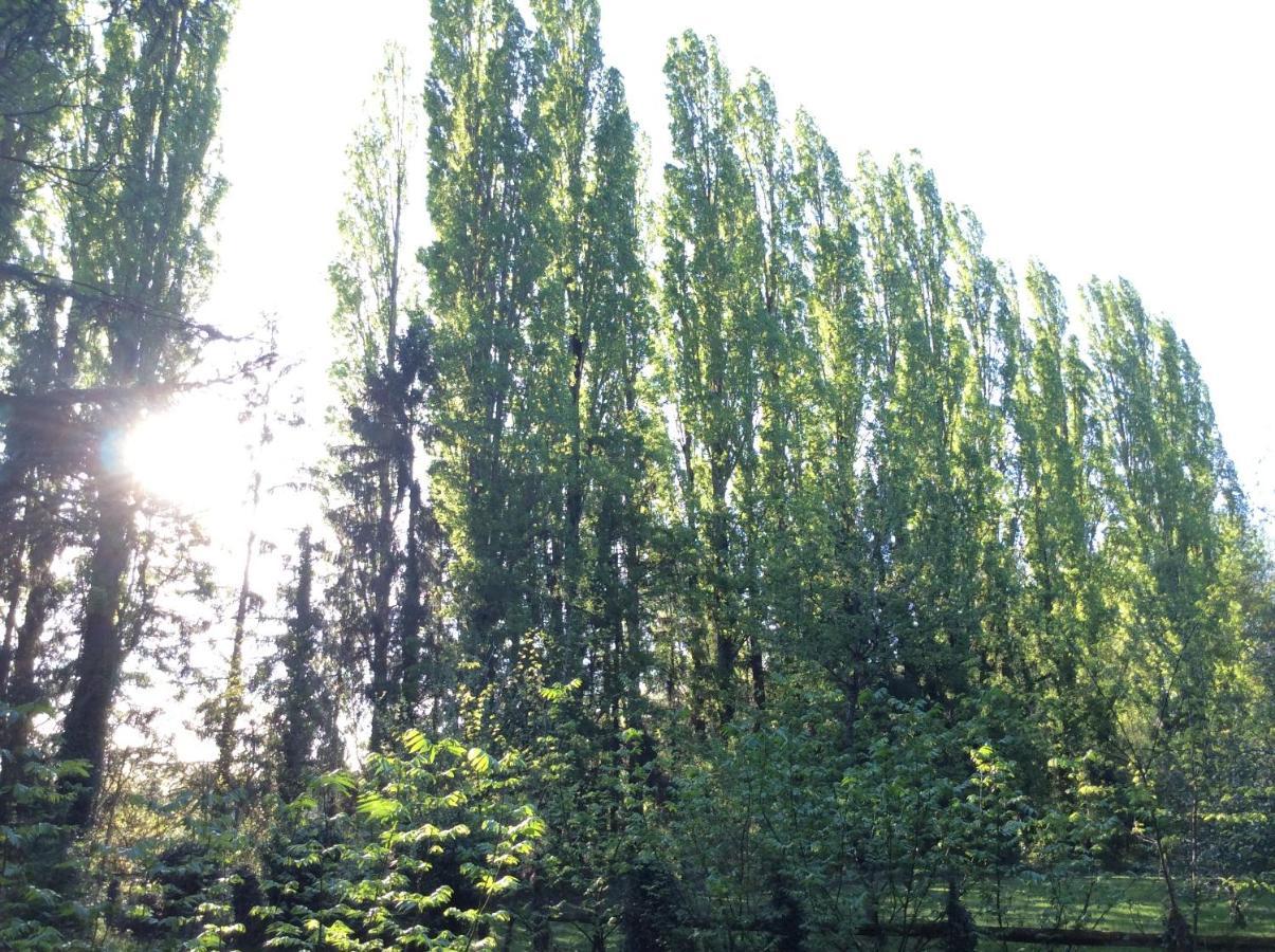 Domaine De La Clef Des Champs Panzió Limeray Kültér fotó